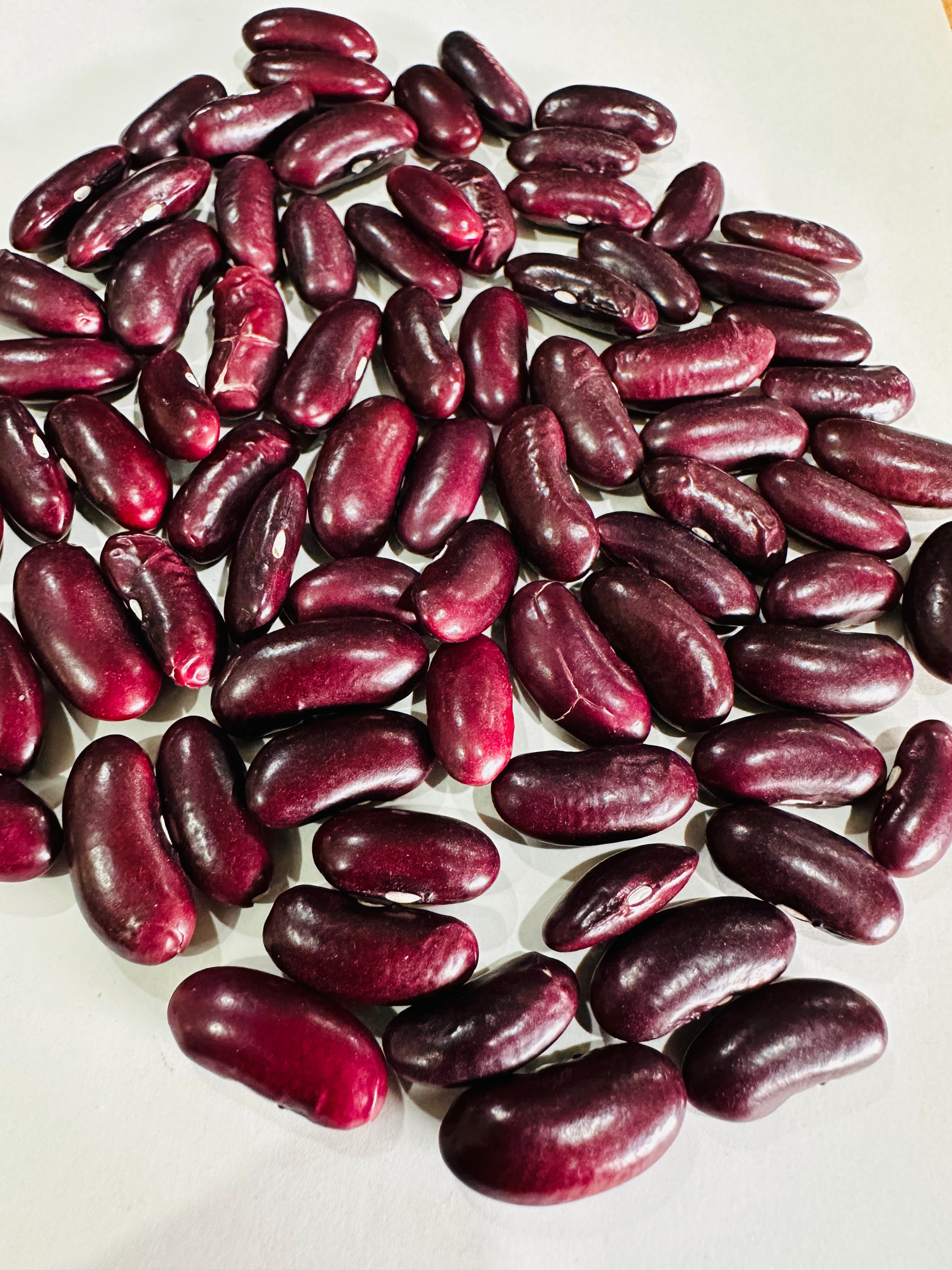 Red kidney Beans ( Lal Rajma) 500gm